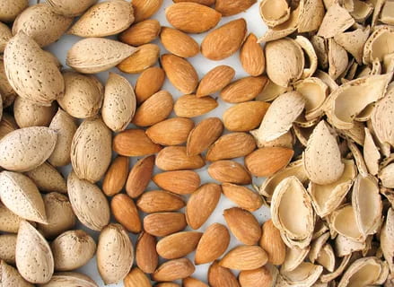 تصویر 4 از بادام درختی سنگی با پوست سخت و عمر طولانی